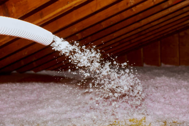 Best Residential Insulation in Glencoe, FL
