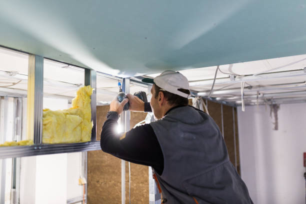 Best Commercial Insulation in Glencoe, FL